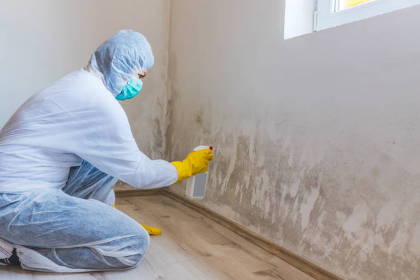 Mold inspector in Tampa performing thermal imaging